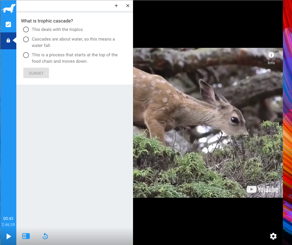 PlayPosit: Adding Questions to Your Choice of Videos-3