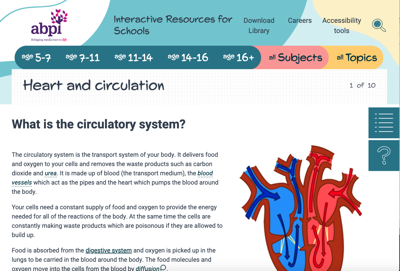 Heart and Circulation