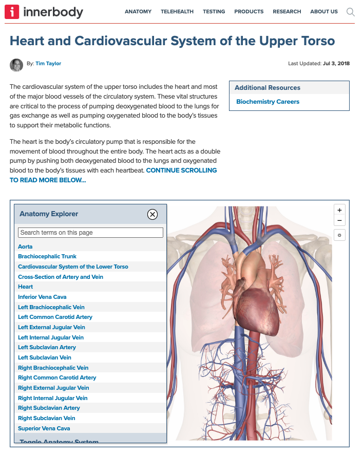 Heart and Cardiovascular System