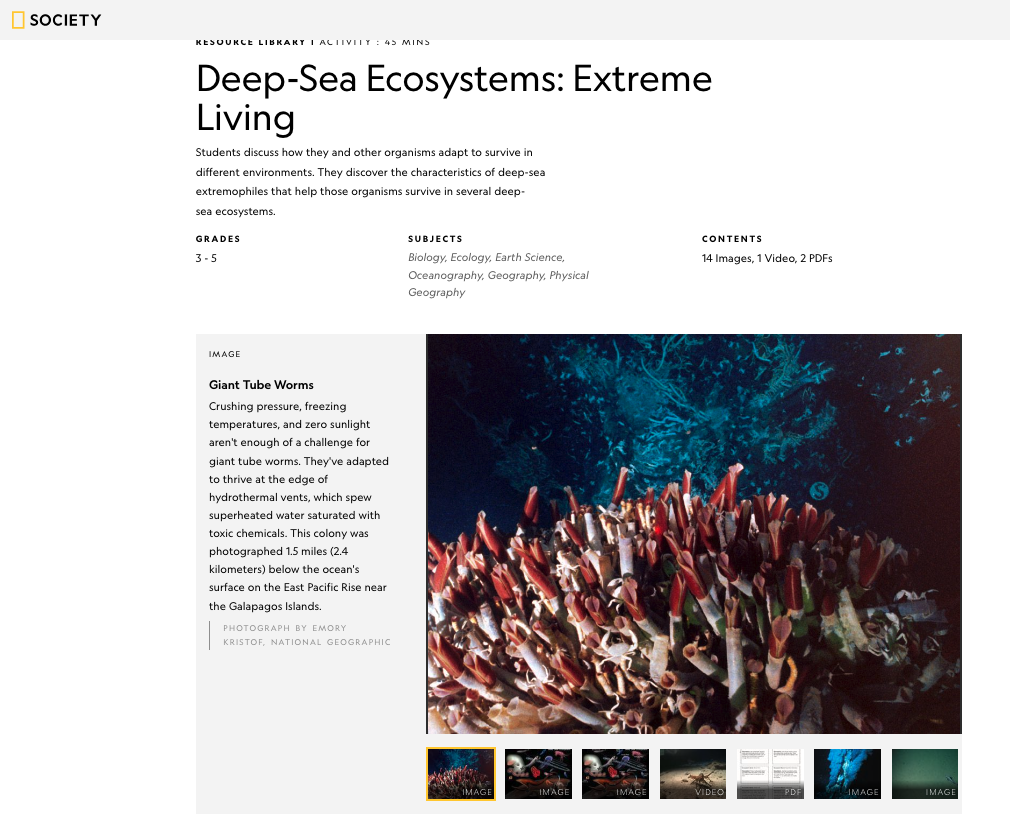 Deep Sea Ecosystems