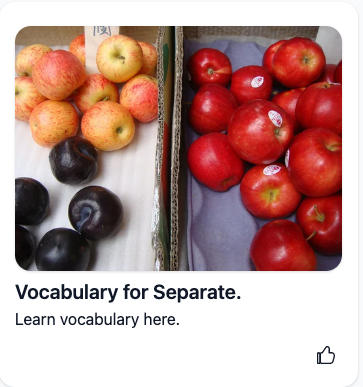 Vocabulary for Separate Activity on Wakelet