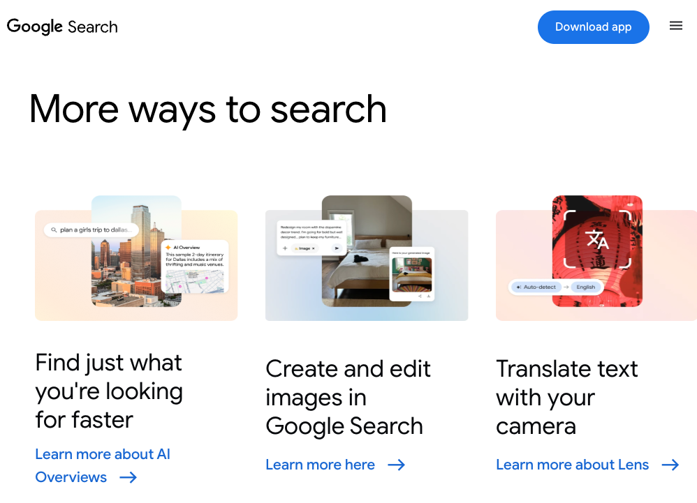 Google: Search Terms