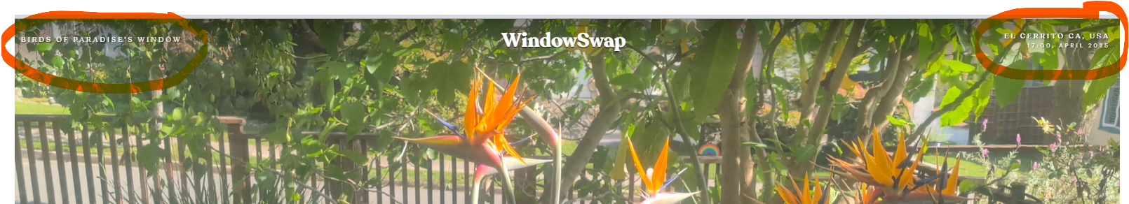 Location of window swap