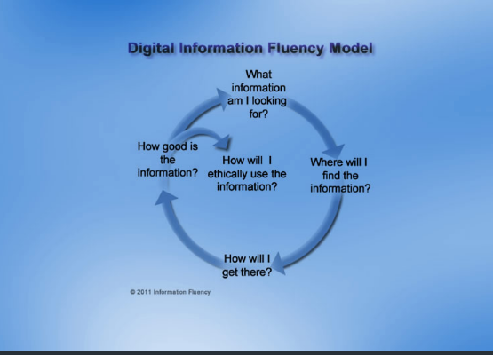 Digital Information Fluency Model