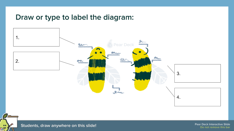 Label the diagram Pear Deck slide