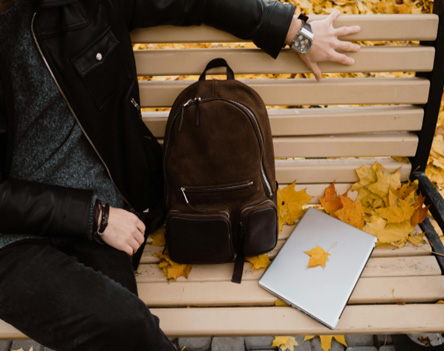 Fall Scene