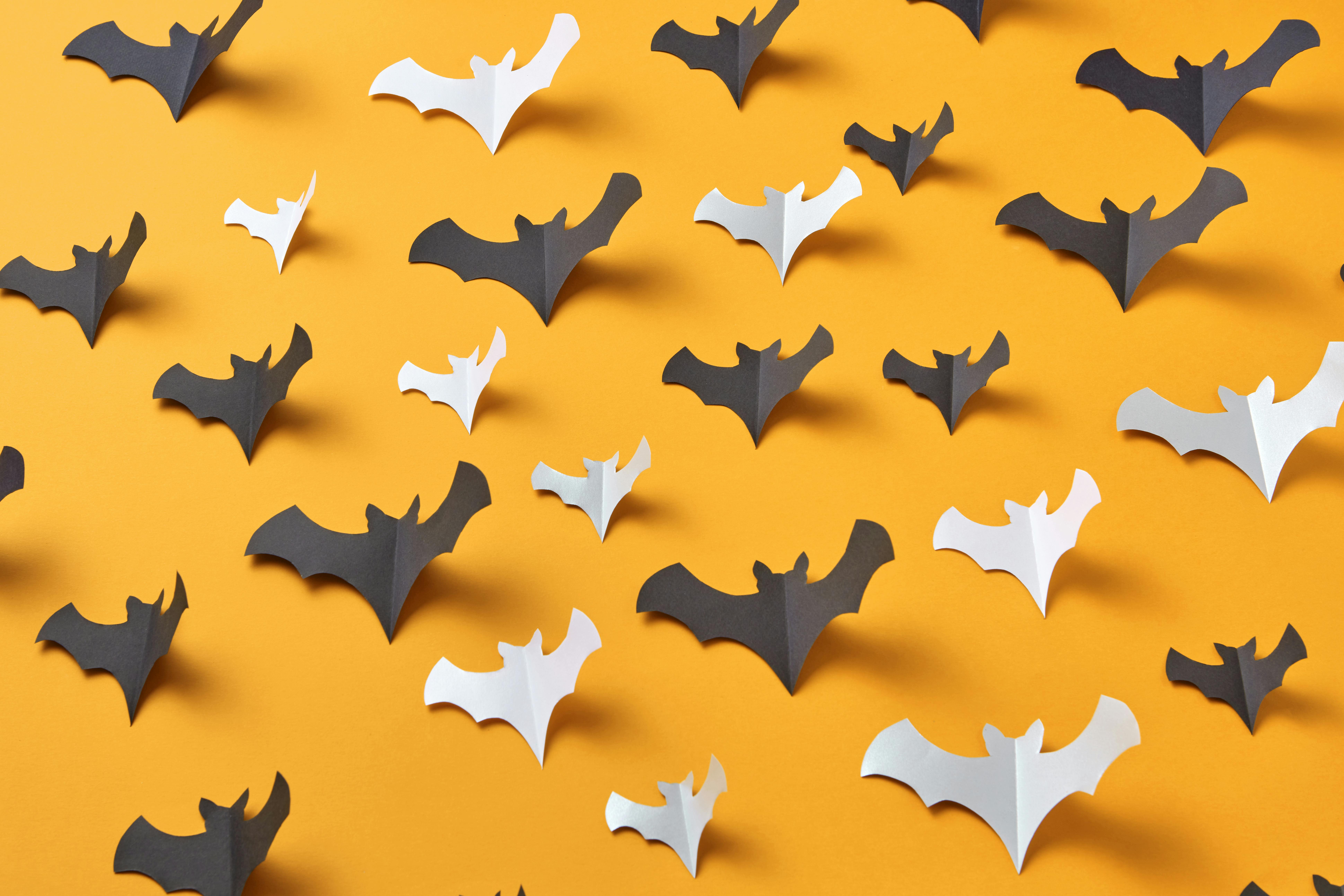 paper bats in black and white