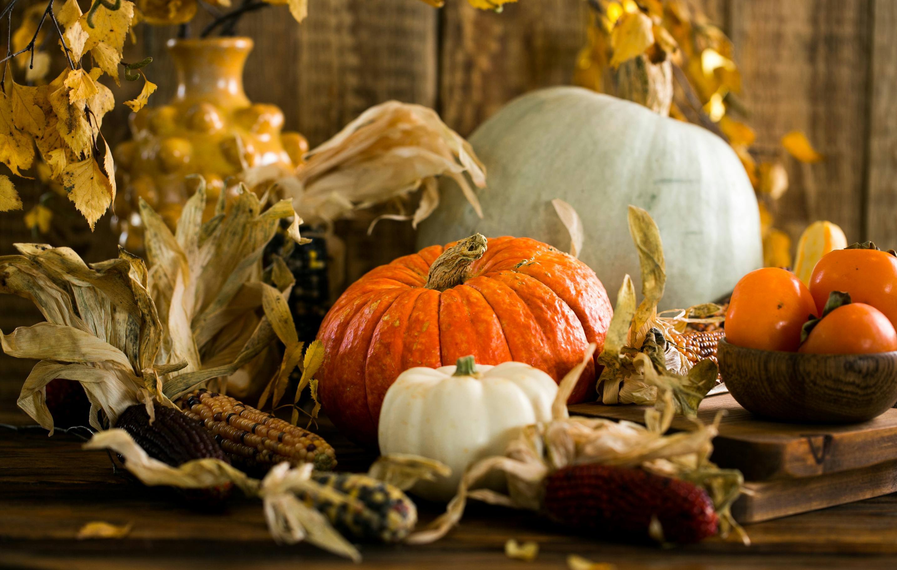 A group of pumpkins and corn on a table