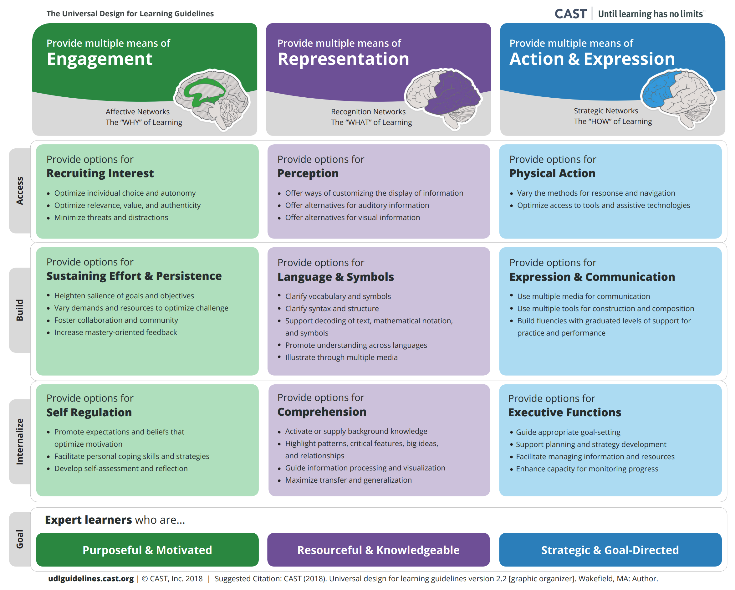 The Universal Design for Learning Guidelines. Provide multiple means of engagement. Provide multiple means of Representation. Provide multiple means of Action & Expression.