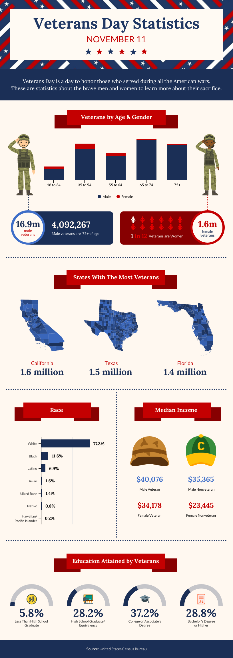 Veterans Dat Statistics Infographic