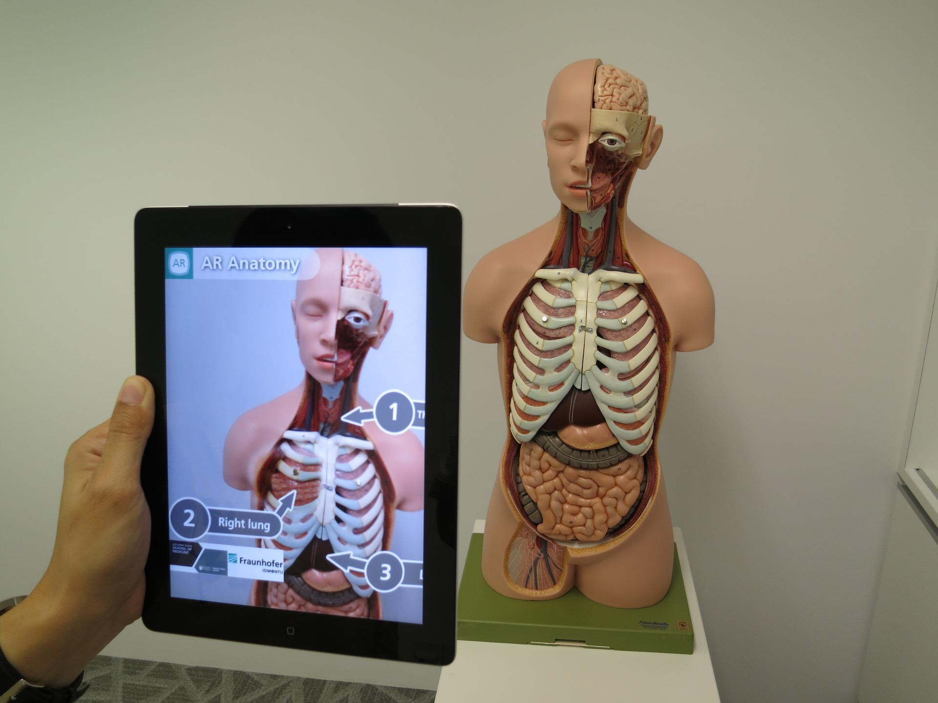Tablet being pointed at a model of the human body. Tablet screen shows the model along with additional data elements.