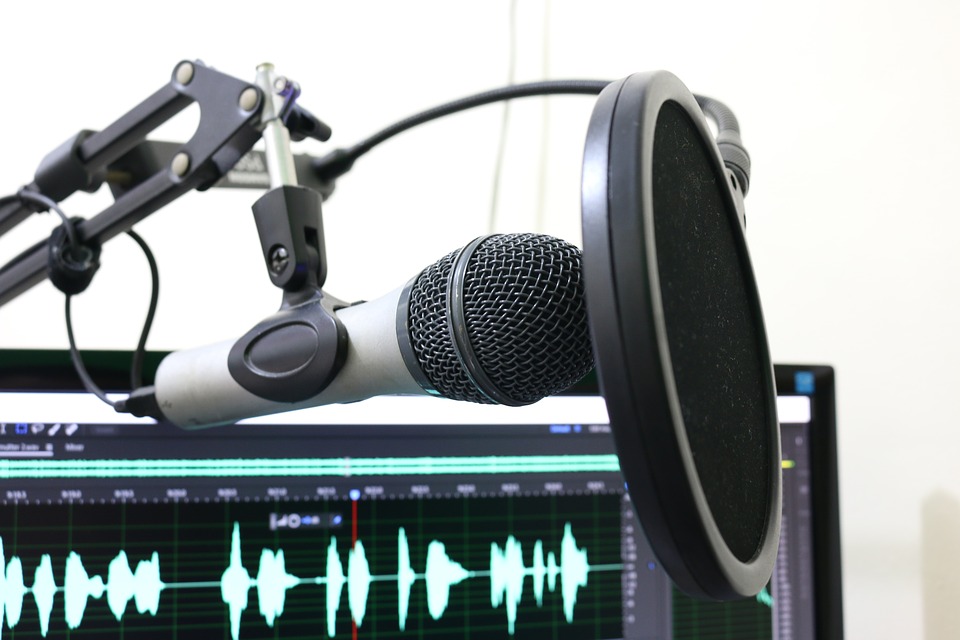 Microphone and recording equipment