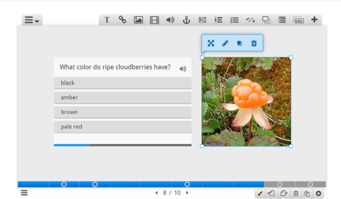 Presentation Slide - shows a picture of an orange flower on the right and aa interactive multiple choice question on the left.